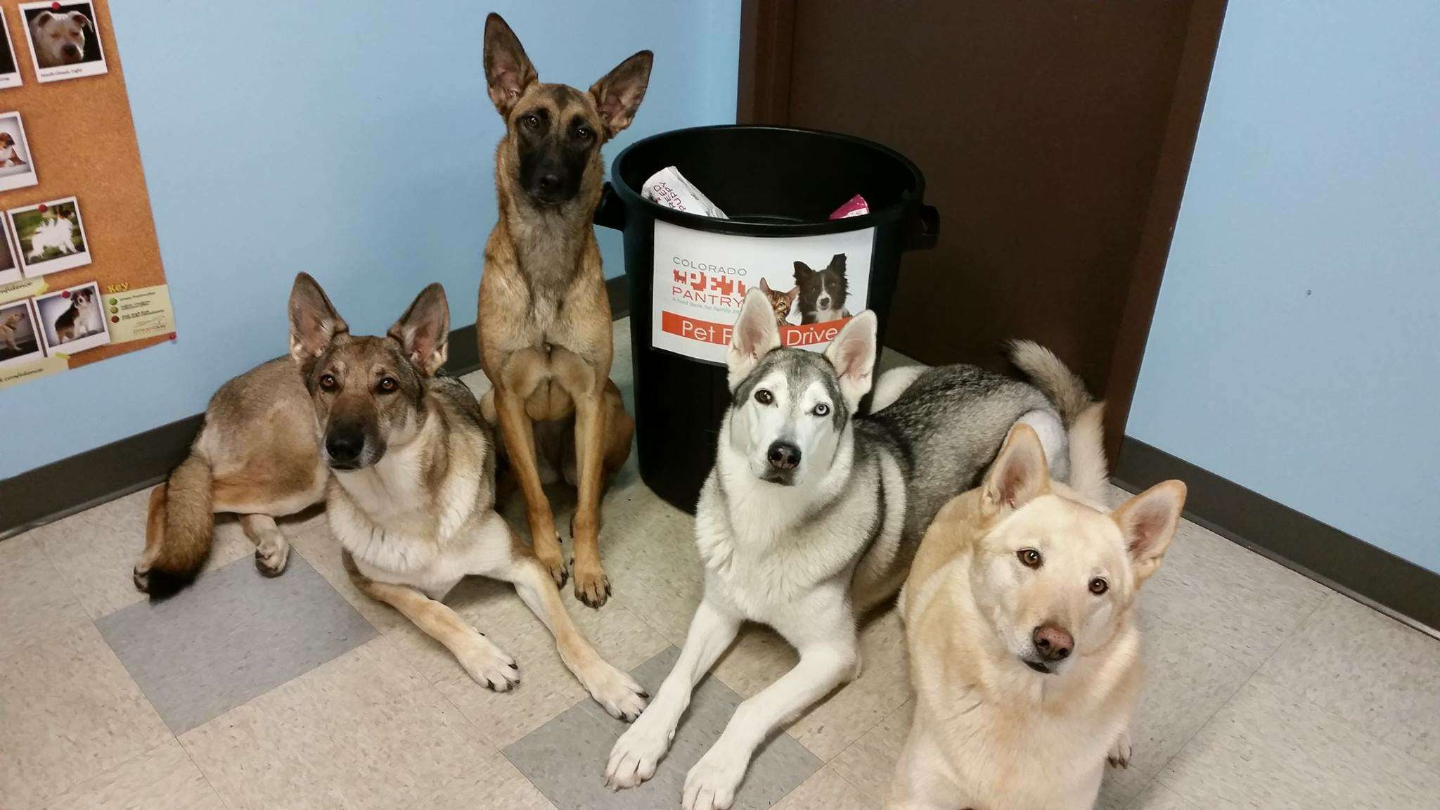 We always put your pet's health & wellness first! Donate Pet Food Colorado Pet Pantry