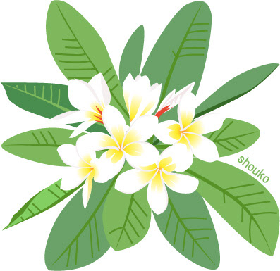最も選択された 夏の花 イラスト 夏の花 イラスト フリー