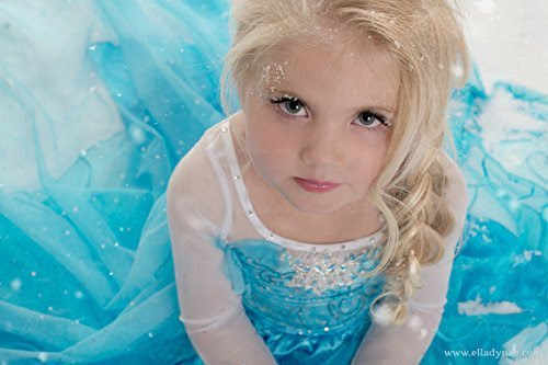 Costume per il travestimento con applicazioni di gemme e stampa glitterata. Vestiti Elsa Di Frozen I Migliori Costumi Per Carnevale Di Elsa Amicopeluche It