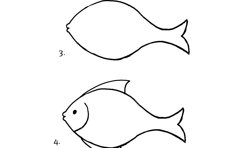 Sketsa Gambar Hewan Ikan Yang Mudah - Gambar Hewan