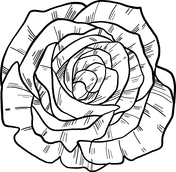 Check out our nice collection of the flowers coloring pictures worksheets.new flowers coloring pages added all the time. Roses Coloring Pages Free Coloring Pages