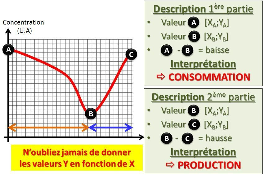 Les graphiques en secteurs permettent de représenter les proportions d'un ensemble, lorsque les. Analyser Un Graphique Profsvt Oehmichen