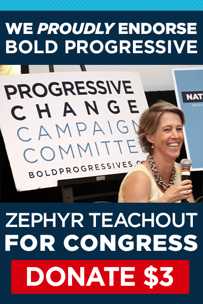 We Proudly Endorses Zephyr Teachout for Congress!