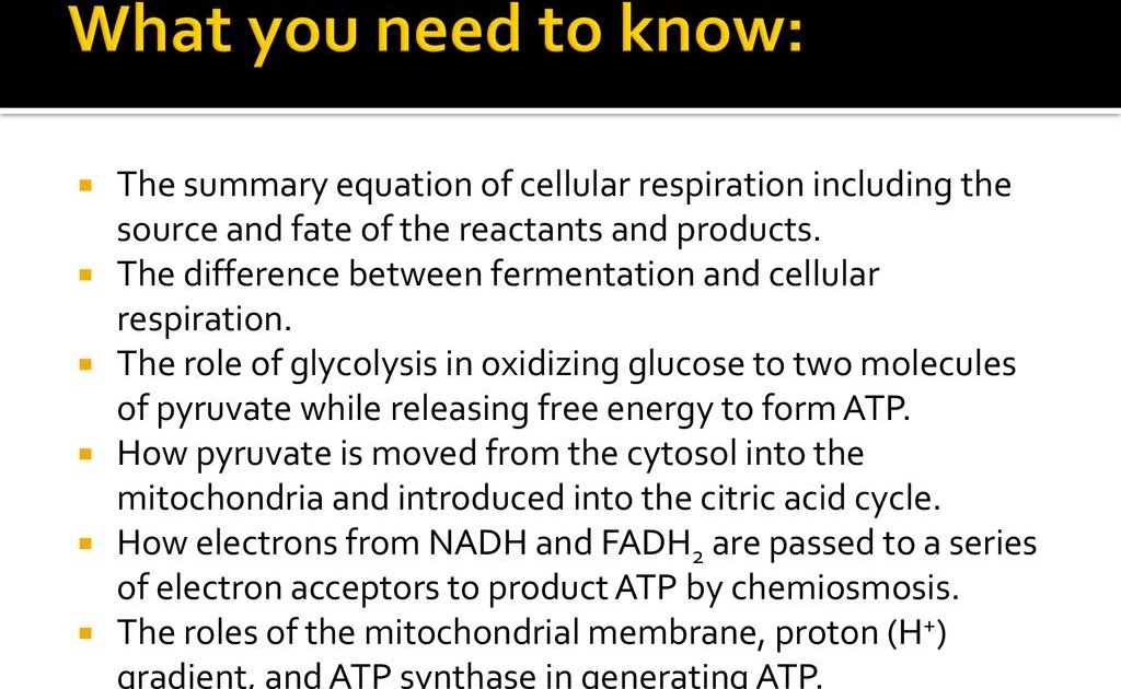 What Are The Reactants In The Equation For Cellular