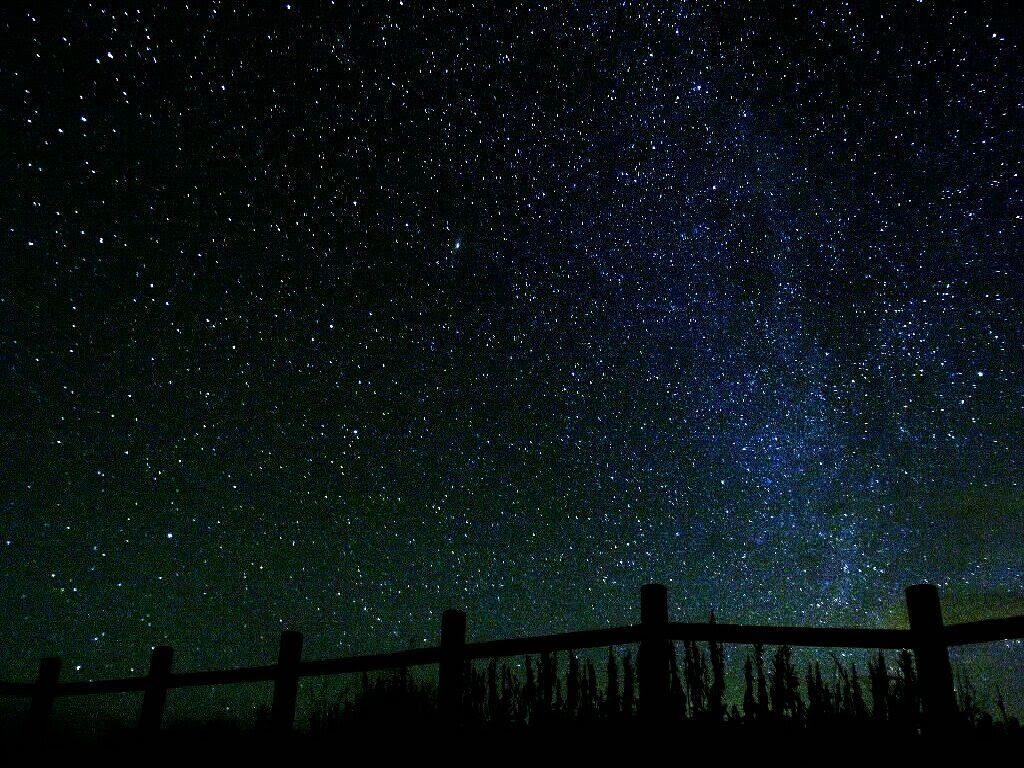 すべての花の画像 無料印刷可能壁紙 冬 の 星座