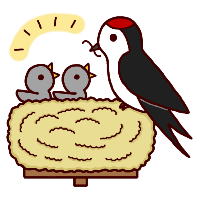 最新のhdツバメ イラスト 無料 最高の動物画像