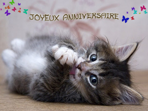 Carte Bon Anniversaire Chat Wizzyloremaria Official