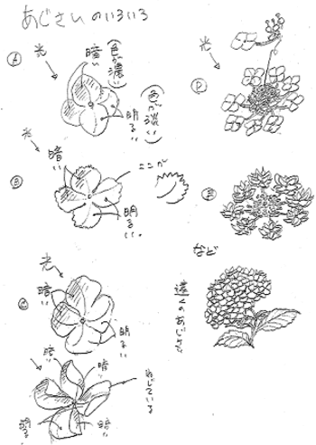 ロイヤリティフリー簡単 描き 紫陽花 イラスト アニメ画像