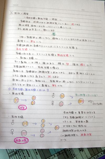 綺麗な中学生 中学 1 年 中学生 自学 ノート 最高のぬりえ