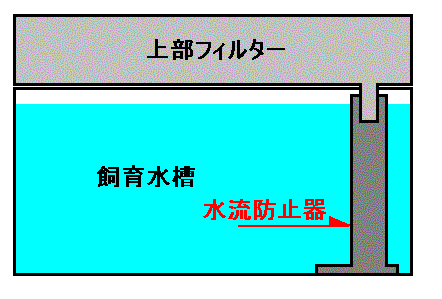 いろいろ 上部 フィルター ろ材 順番