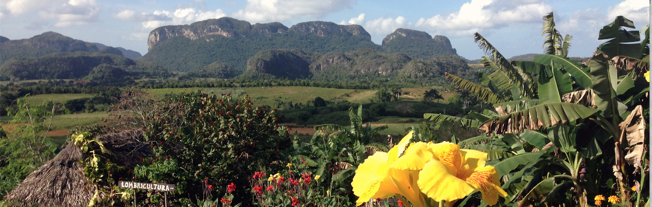 Vinales