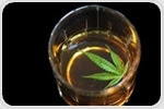 Alcohol, Cannabis and Other Drugs: A Pharmacological Evaluation