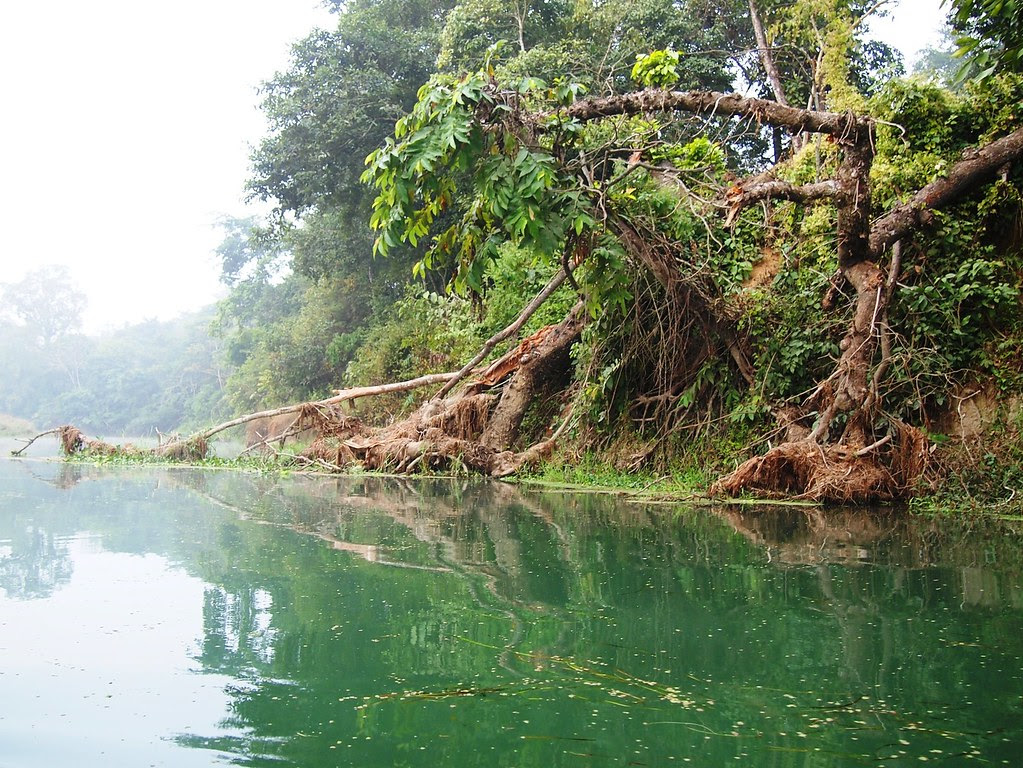 chitwan national park + elephant breeding center