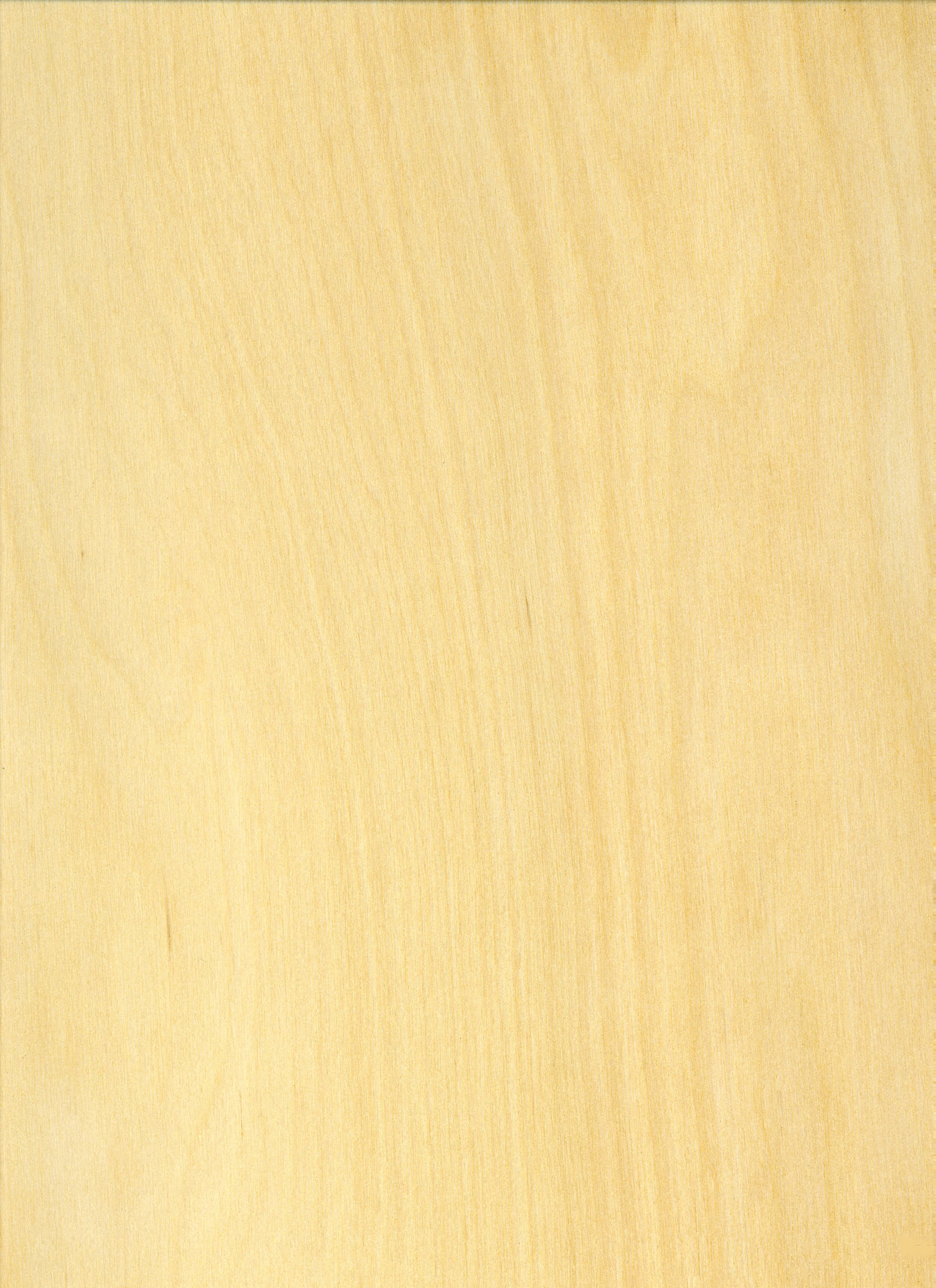 Work With Wood: Looking for free printable woodworking 