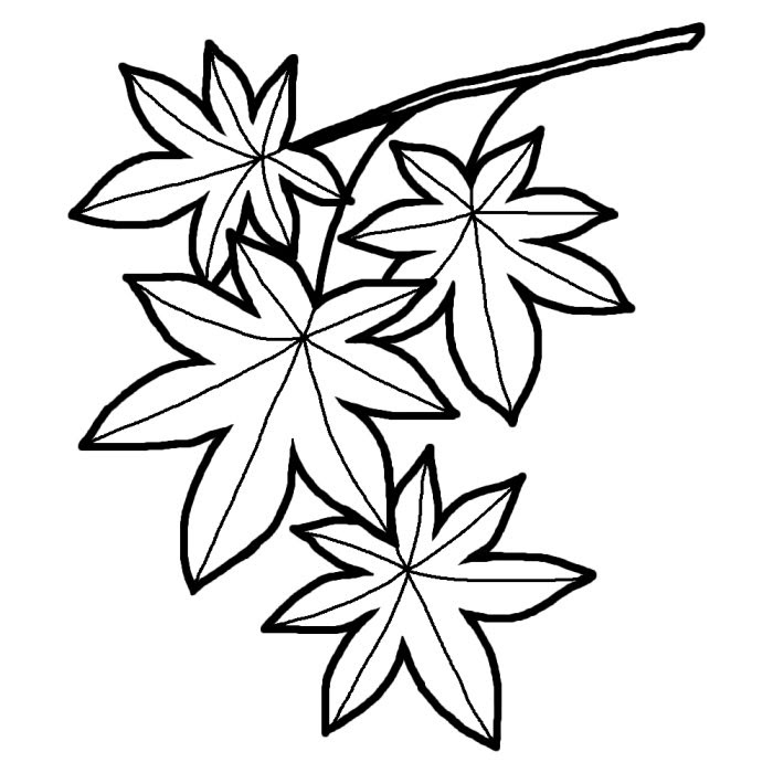 Pictjpsiptzozq 最も選択された もみじ イラスト 白黒 もみじ イラスト 無料 白黒