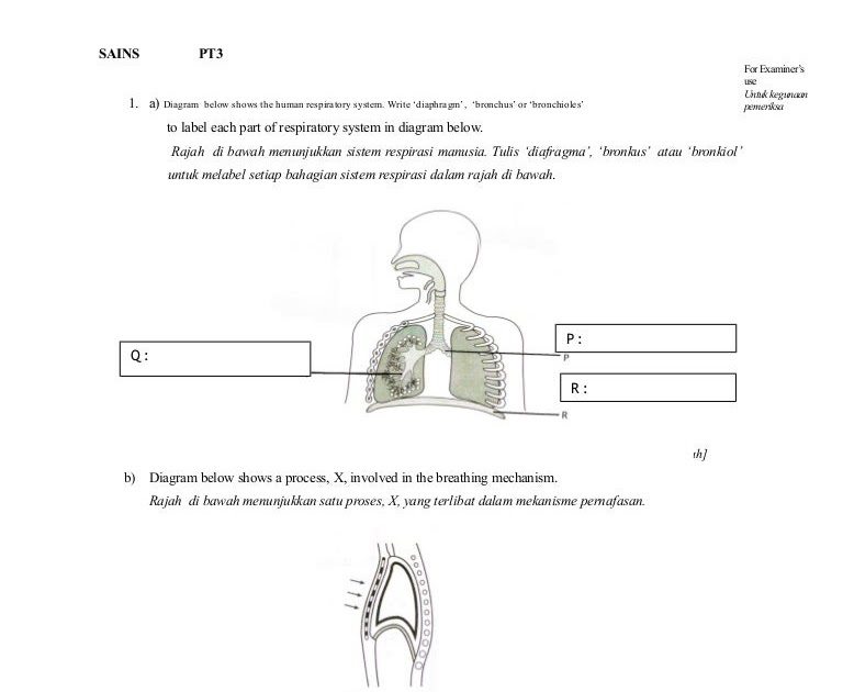 Contoh Soalan Pt3 Matematik Contoh Soalan Rumusan Bahasa Melayu Pt3 Soalan C Surat Jemputan Mesyuarat Agung 2011 Via Www Scribd Com Weilupics