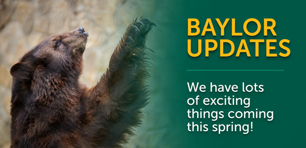 Baylor Updates: We have lots of exciting things coming this spring!