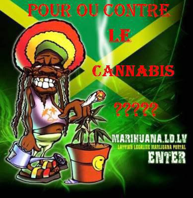 Carte Anniversaire Rasta Humour Hien Charmain