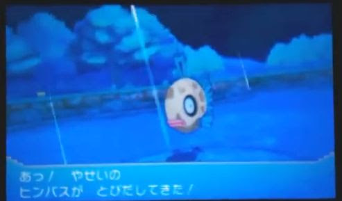 ポケモン サファイア ミロカロス 100 で最高の画像