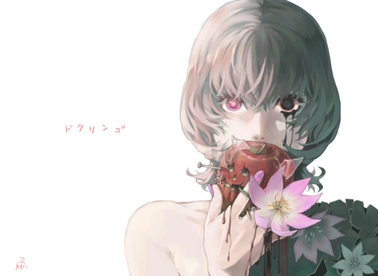 美しい花の画像 無料ダウンロード林檎 イラスト 綺麗