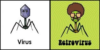 Resultado de imagen para retrovirus informatico