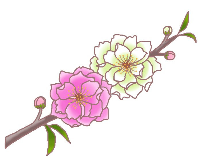 すべての美しい花の画像 最高春 花 イラスト 簡単