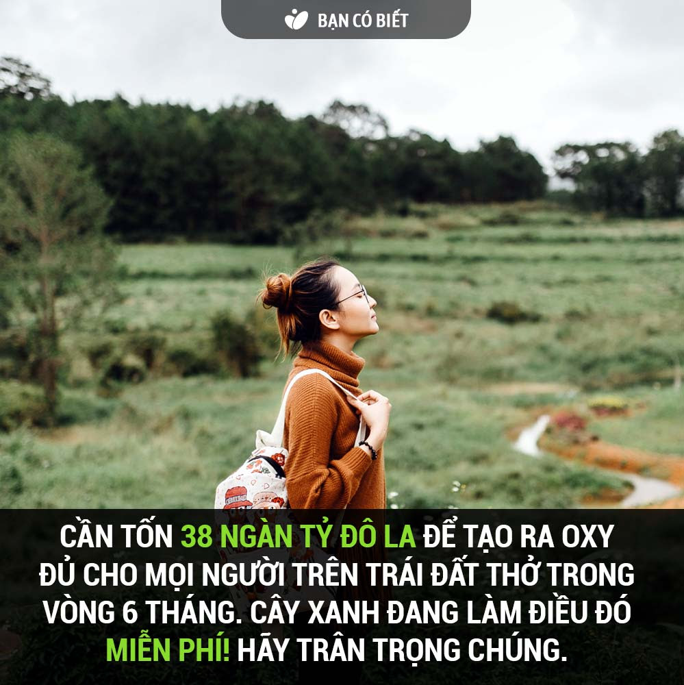 Đang tải fact2_xanh.jpg…