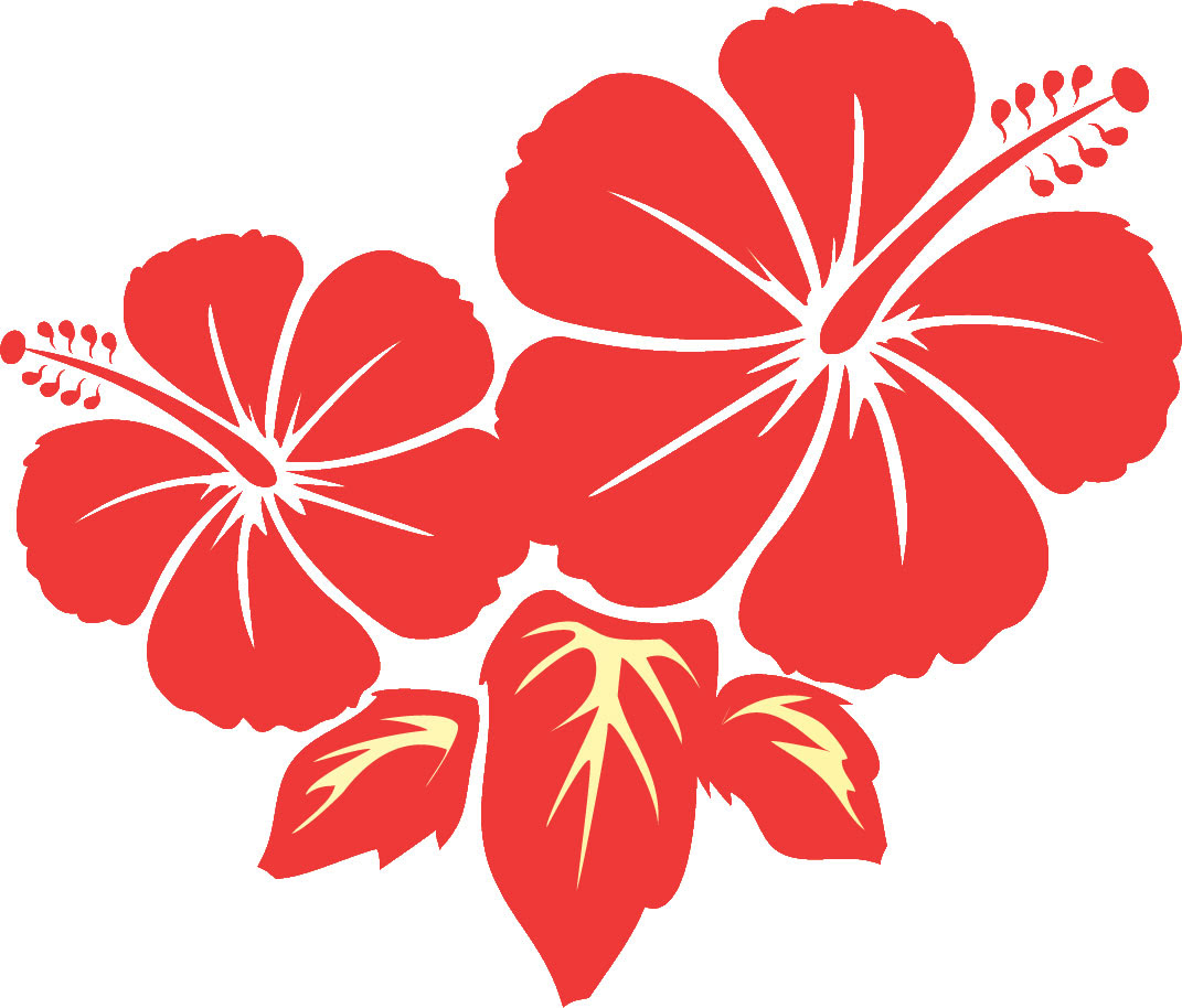 ユニーク沖縄 花 イラスト 最高の花の画像