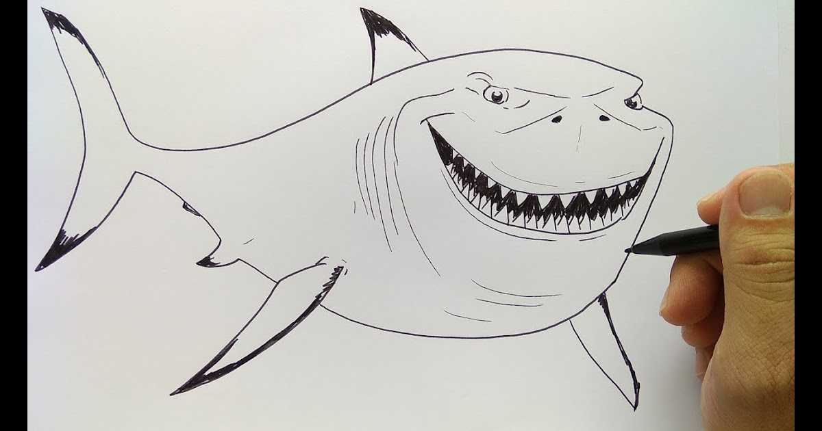 20 Gambar  Ikan  Hiu  Kartun Keren Gambar  Kitan