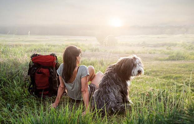 A woman and dog sitting in a field of tall grass.