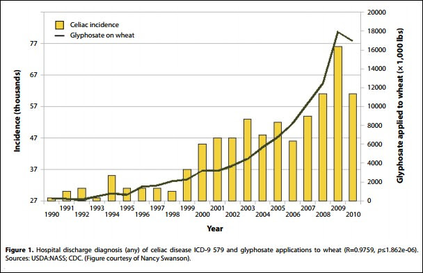 celiac incidence as a factor of glyphosate application to wheat