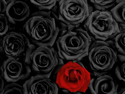√99以上 薔薇 壁紙 かっこいい 126142-薔薇 壁紙 かっこいい