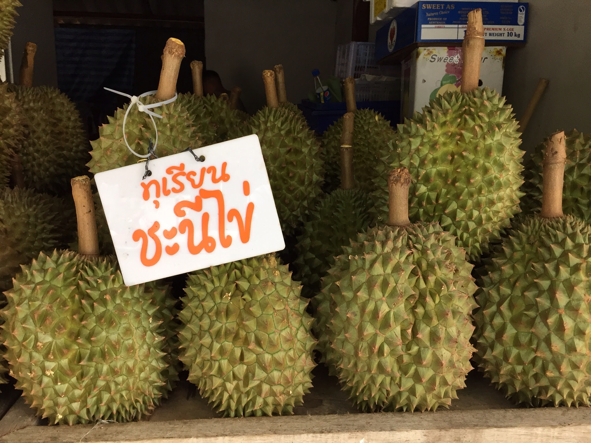 Or actually, i wasn't reporting. Real Durian Cravings Satisfied Not Your Typical Tourist