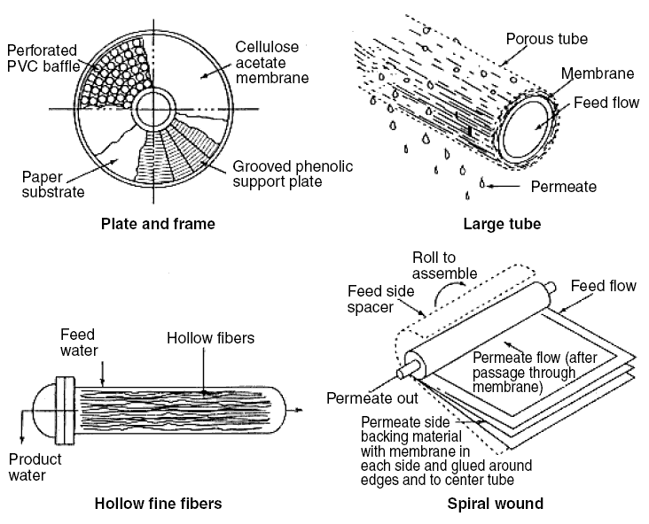 gigloqic: animal cell diagram gcse