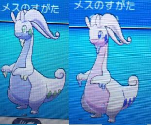 500以上のトップ画像をダウンロード 最も検索された ポケモン サンムーン ヌメルゴン