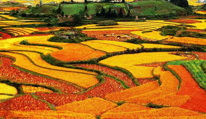 Red Land                                                            China