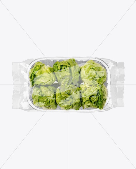 Download Download Salad Pack Mockup PSD