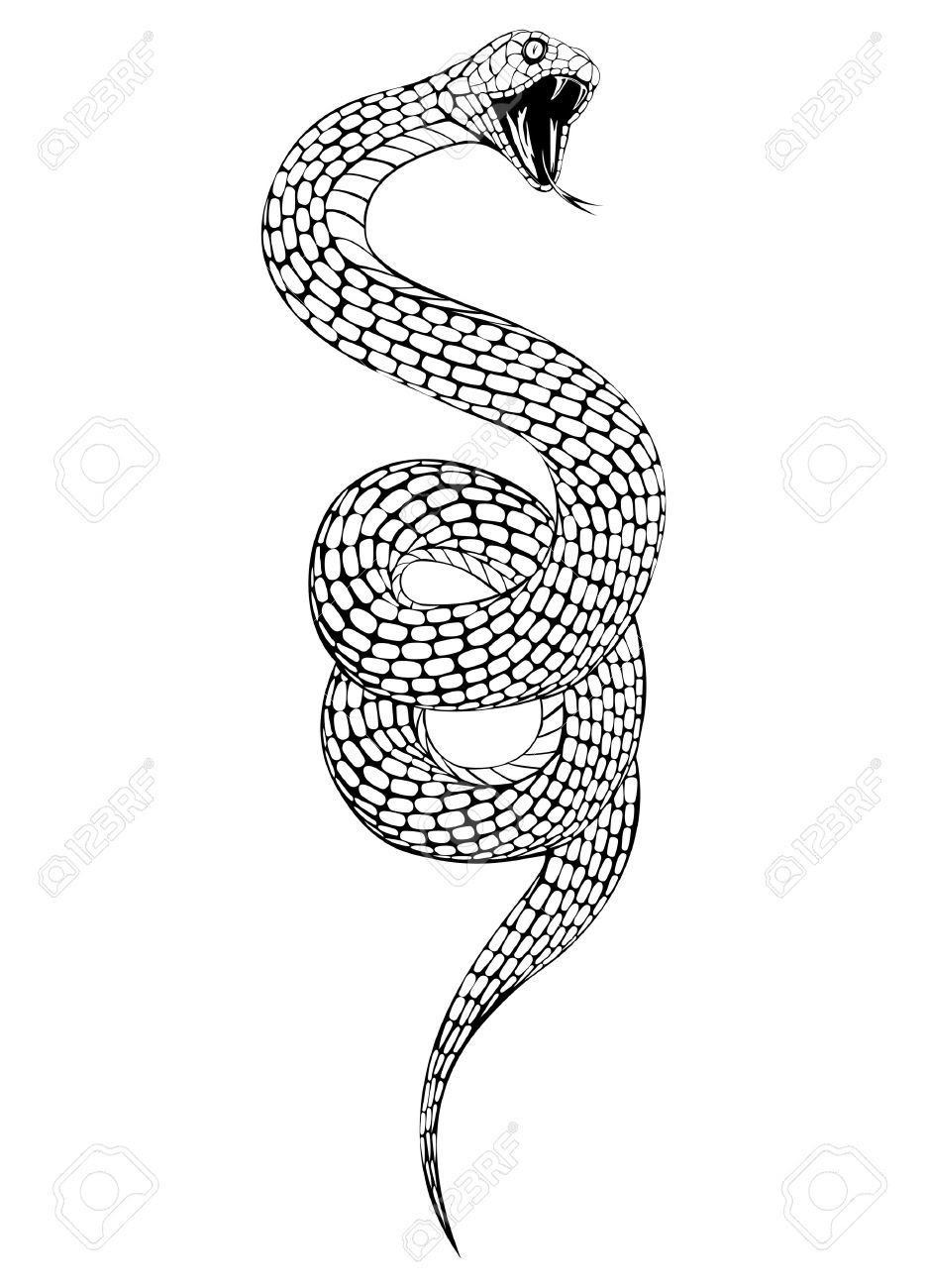 あなたのためのイラスト 新鮮なリアル 蛇 イラスト 白黒