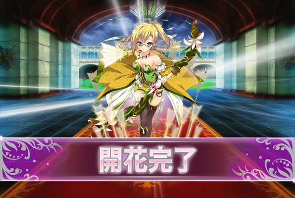 心に強く訴えるクランベリー 花騎士 すべての美しい花の画像