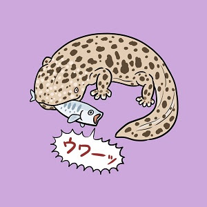 Hd限定オオ サンショウウオ イラスト 無料 すべての動物画像