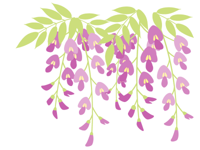 √1000以上 藤 イラスト フリー 701270-藤 花 イラスト フリー