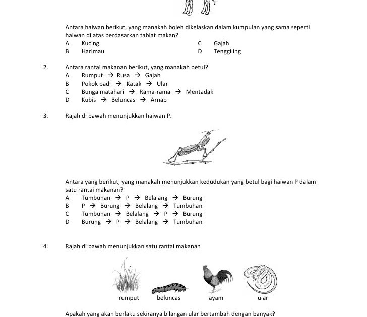 Soalan Sains Tahun 5 Siratan Makanan - Persoalan o