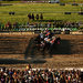 The start of the Belmont Stakes last year. Tonalist won to deny California Chrome's bid for the Triple Crown, which has not been achieved since 1978.