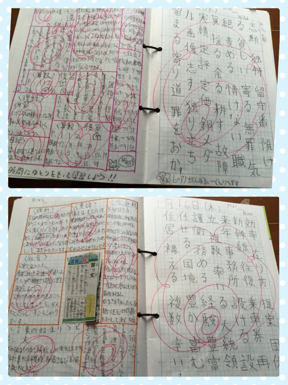 驚くばかり 5 年 自学 ネタ 小 5 ガサタメガ