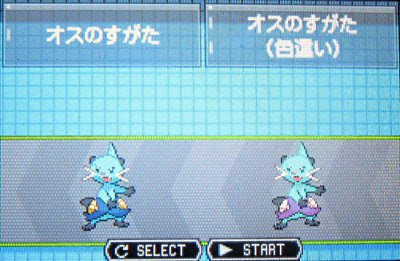 無料ダウンロード ポケモン Bw 御 三家 色 違い 100 で最高の画像