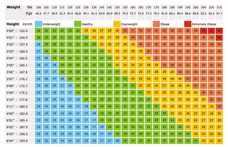 How To S Wiki 88 How To Calculate Bmi For Men