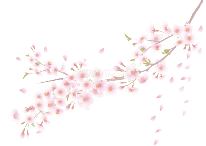 ロイヤリティフリー桜の木 イラスト フリー ディズニー帝国