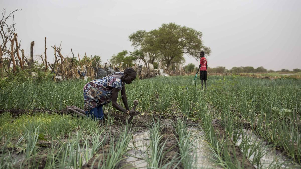 Old Fangak, un oasis en medio de la guerra de Sudán del Sur