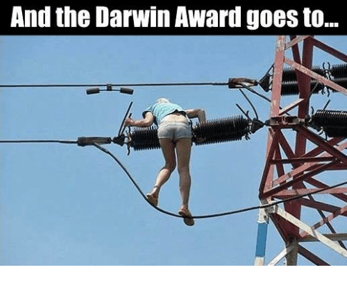 Darwin Award one