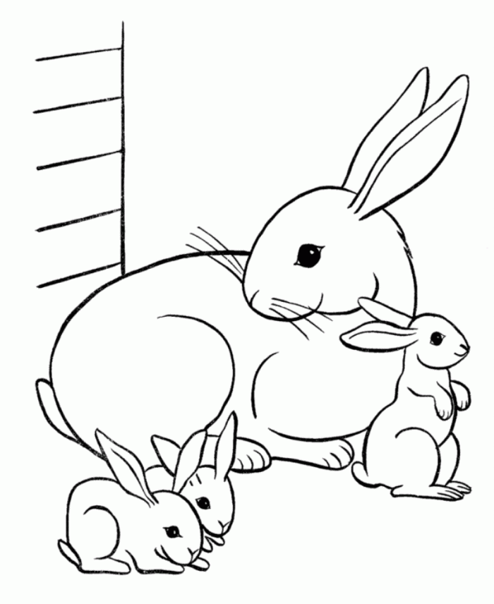 Get your crayons out and start coloring! Free Coloring Pages Of Cute Baby Animals Download Free Coloring Pages Of Cute Baby Animals Png Images Free Cliparts On Clipart Library